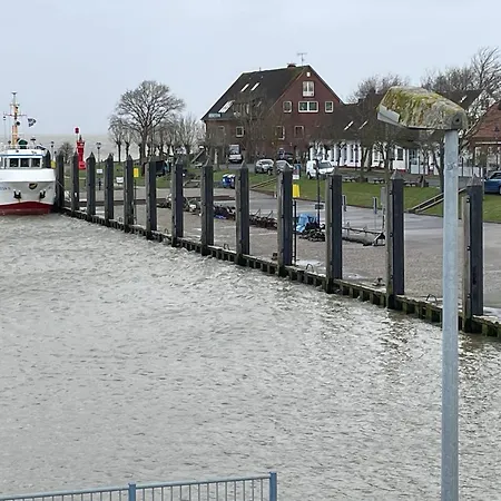 Nettes In Grosswuerden Mit Garten *