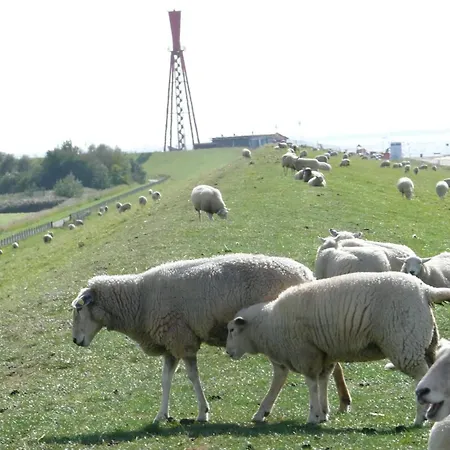 Nettes In Grosswuerden Mit Garten بيت للعطل بوتجادينغين