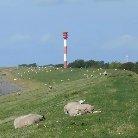 بيت للعطل Nettes In Grosswuerden Mit Garten بوتجادينغين